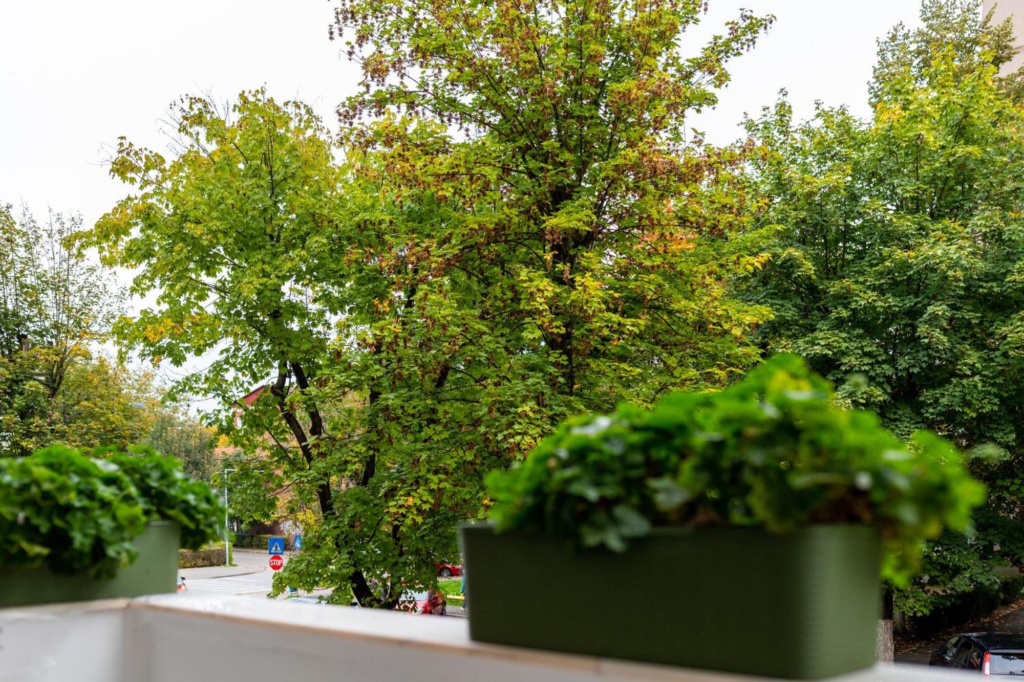 Apartament Octavia Hunedoara Luaran gambar